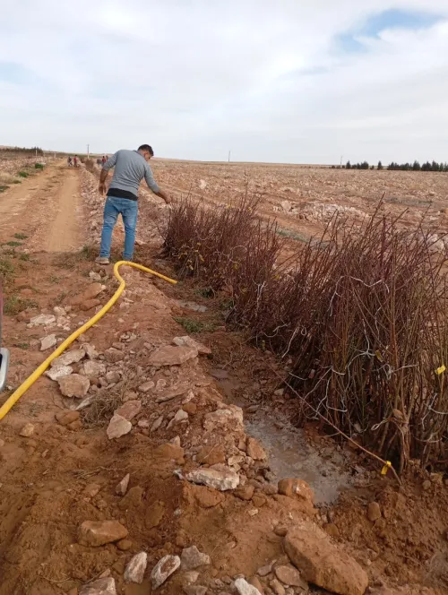 Vente Terrain Agricole Djelfa Ain oussara