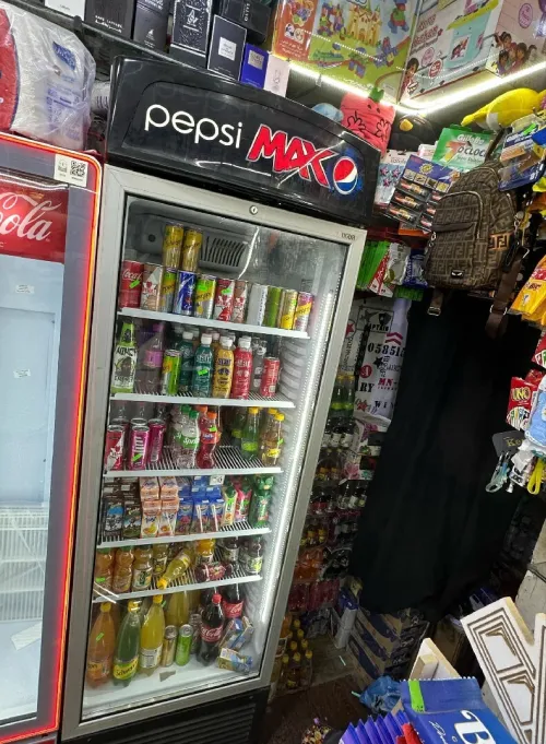 Frigo Ugur importation 450L