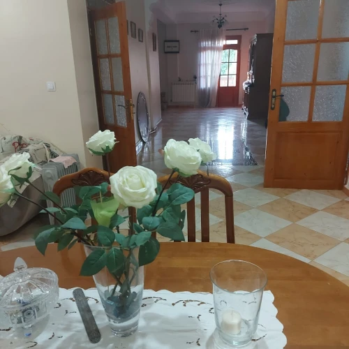Vente Villa Alger Douera