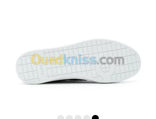 Basquette lacoste carnaby original 