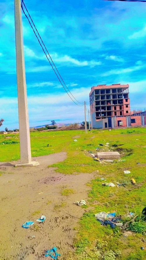Vente Terrain Alger Sidi moussa