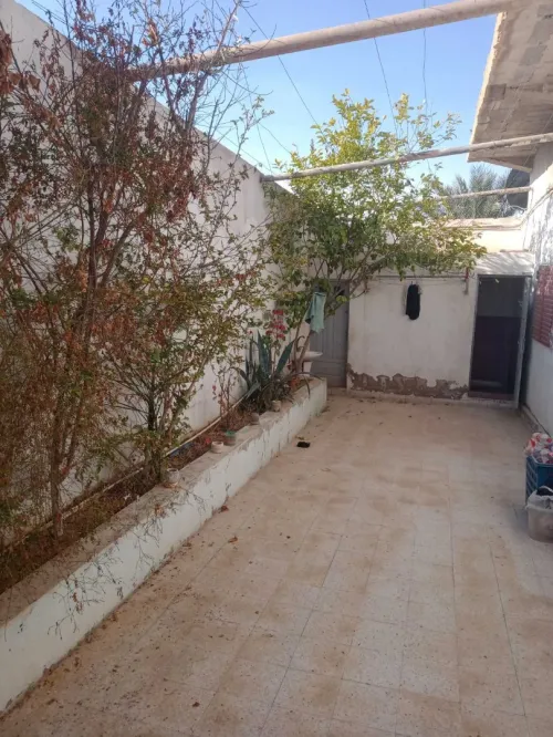 Vente Terrain Agricole Biskra Tolga