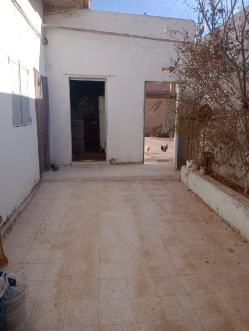 Vente Terrain Agricole Biskra Tolga