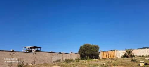 Vente Terrain Jijel Kemir oued adjoul