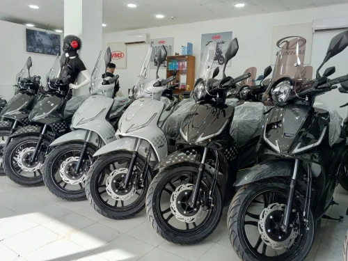 Vms Corale 2026