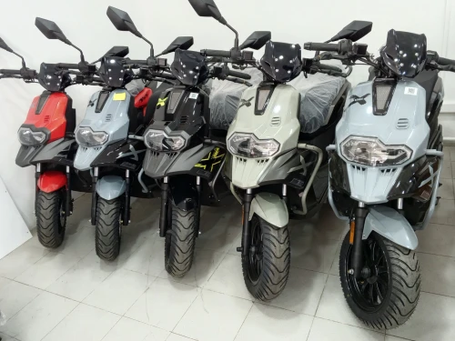 Vms Bws 2026