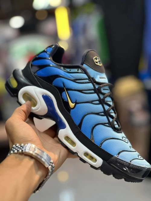 Basquettes Hommes Nike originale
