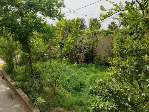 Vente Villa Blida Chebli