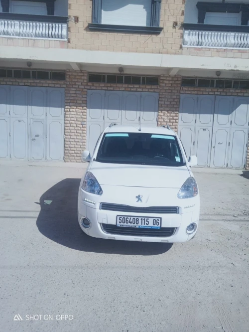 Peugeot Partner 2015 Tepee