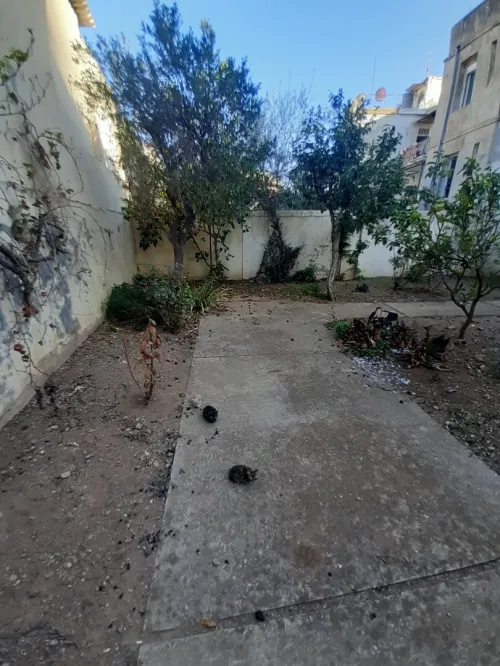 Vente Villa Alger Bologhine