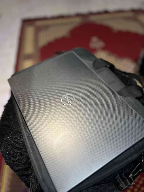 الجزائر