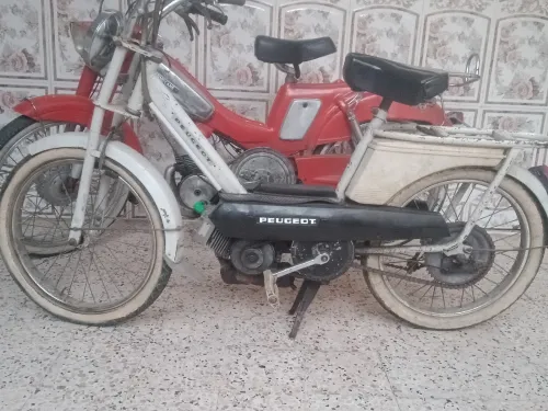 موطوا بيكان موطوا 102بيجوا زوج حبات بيكال او زوج موطوات 102 بيجوا 