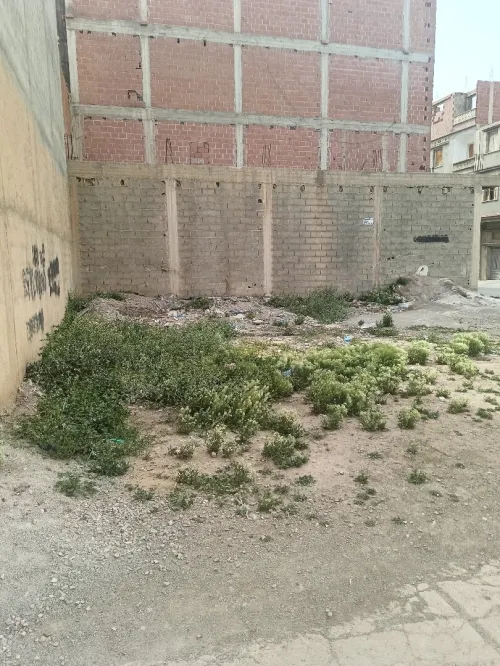 Vente Terrain Batna Batna