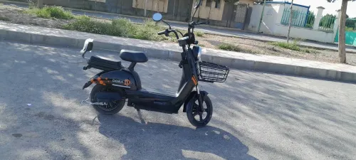 Dora Dora 2025