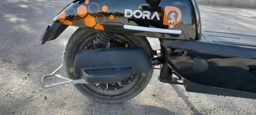 Dora Dora 2025