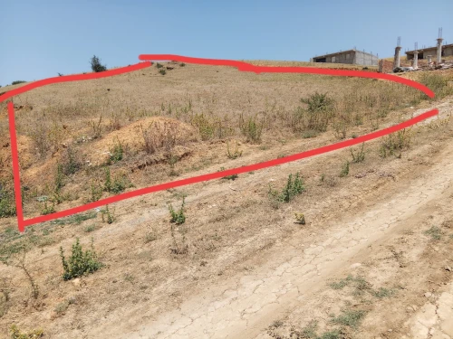 Vente Terrain Bouira Ain el hadjar