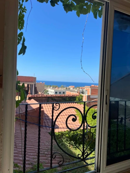 Vente Immeuble Tipaza Tipaza