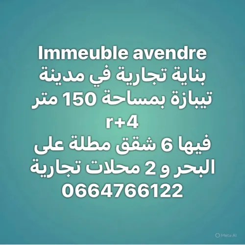 Vente Immeuble Tipaza Tipaza