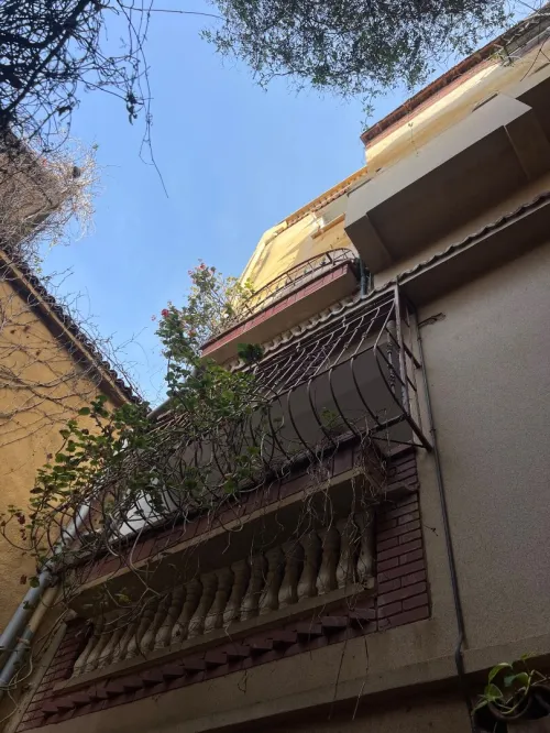 Vente Immeuble Tipaza Tipaza