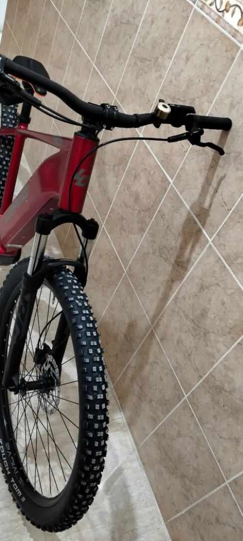 Velo electric leopard