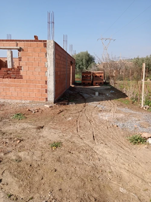 Vente Carcasse Aïn Defla Ain soltane