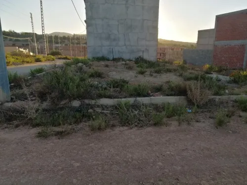 Vente Terrain Tlemcen Ghazaouet