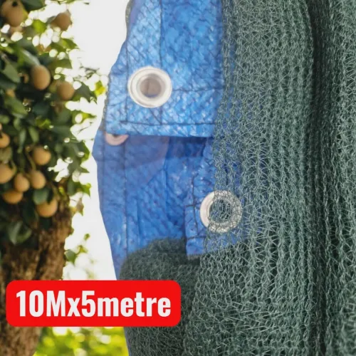 FILET RECOLTE OLIVES 10X5 METRE