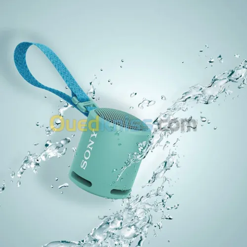 SONY SRS-XB13 ENCEINTES sans fil compatible Bluetooth Type-C bleu poudré - Vert Citron - rose corail