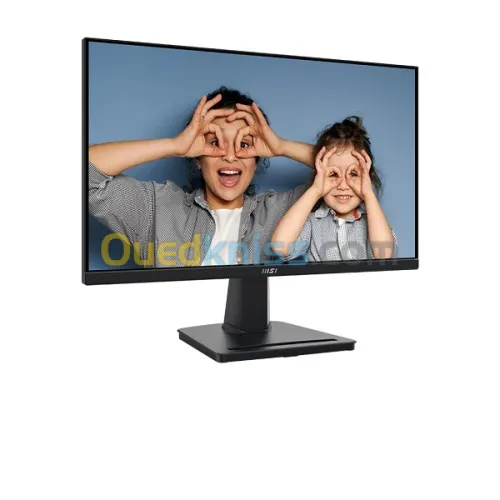 ECRAN MSI PRO MP252 - 25" FULL HD - DALL IPS - 100HZ -1MS - HDMI/DP - ROTATIF - VESA - BLACK