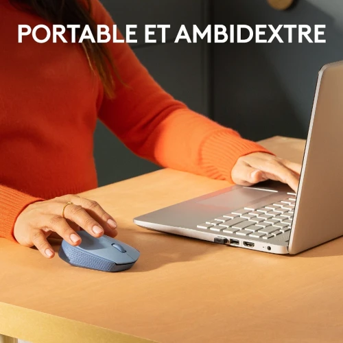 LOGITECH M171 WIRELESS MOUSE - SOURIS SANS FIL - AMBIDEXTRE - USB 2.4 GHZ - CAPTEUR OPTIQUE - 3 BOUTONS - BLEU & GRIS