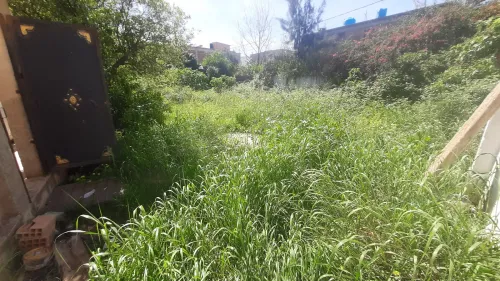 Vente Terrain Blida Larbaa