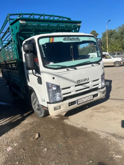 Isuzu Npr super jumbo 2023