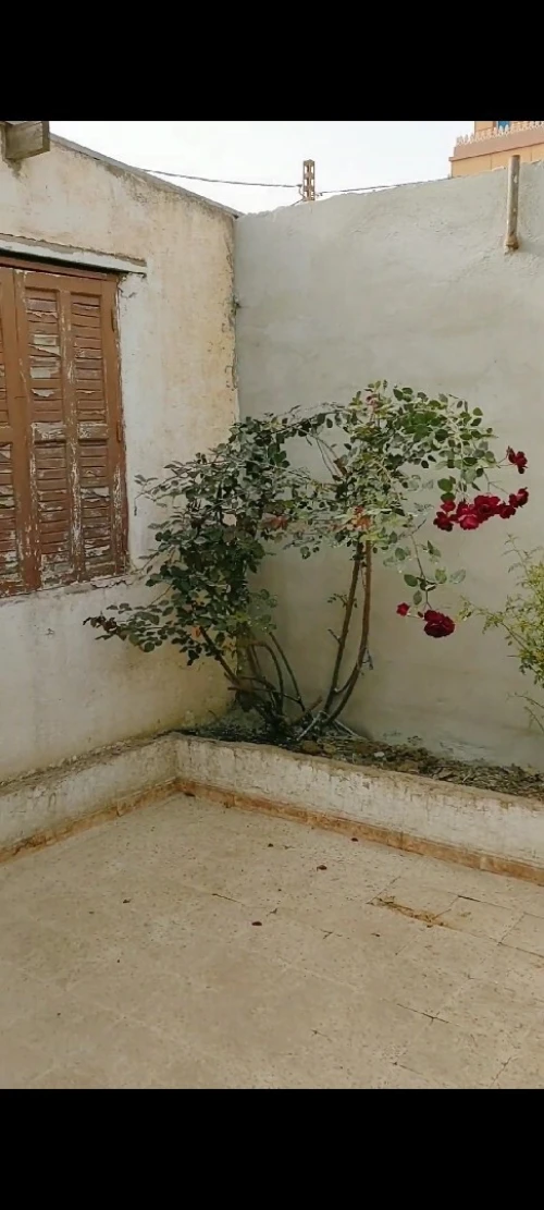 Vente bien immobilier Alger Baraki
