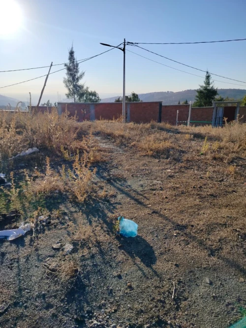 Vente Terrain Blida Djebara