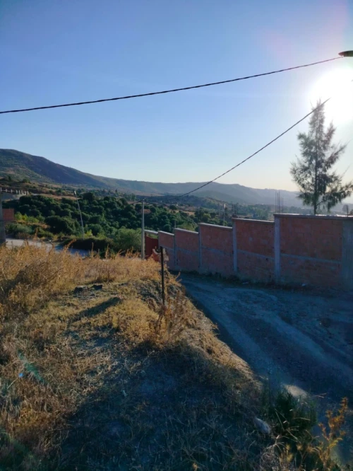 Vente Terrain Blida Djebara