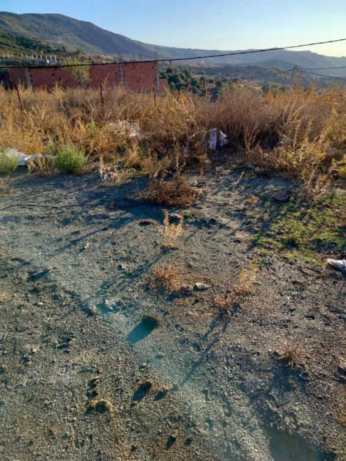 Vente Terrain Blida Djebara