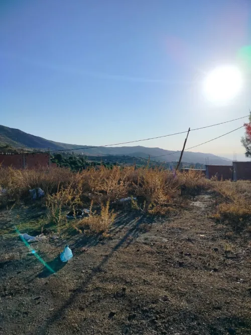 Vente Terrain Blida Djebara