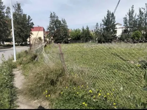 Vente Terrain Alger Rouiba 3