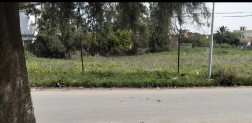 Vente Terrain Alger Rouiba