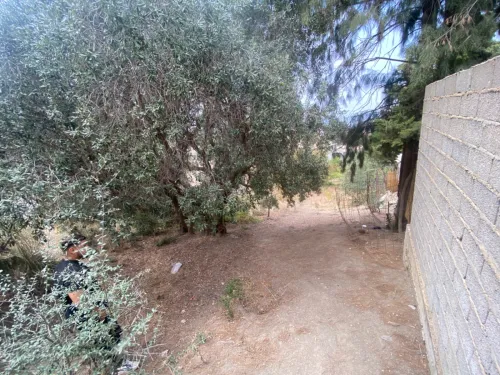 Vente Terrain Blida Bouarfa