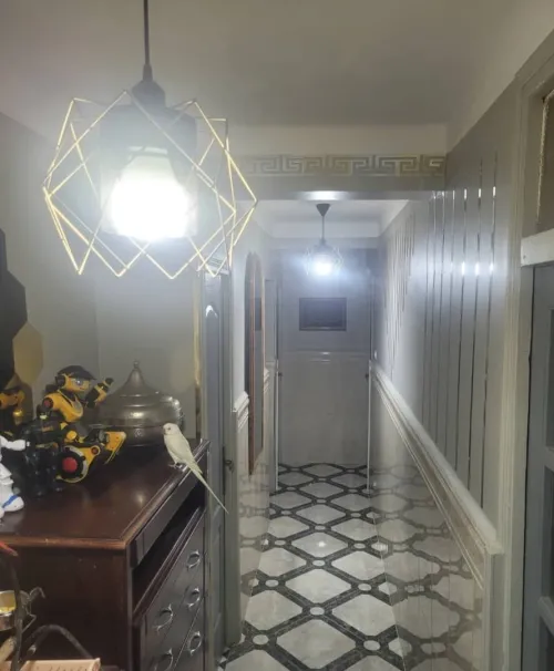 Vente Appartement F3 Alger Bouzareah