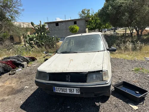 Peugeot 309 1987 309