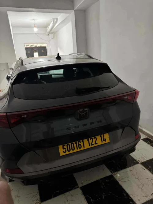Cupra  Cupra fermentor 2022 
