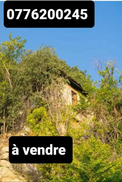 Vente Villa Alger El mouradia