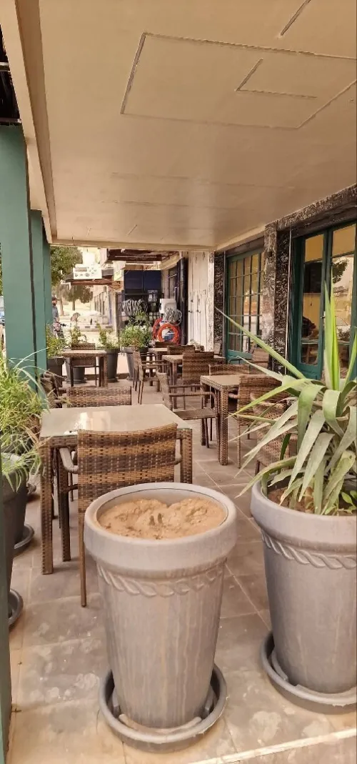 Vente Local Sidi Bel Abbès Sidi bel abbes