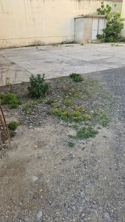 Vente Hangar - Usine Blida Ouled el alleug