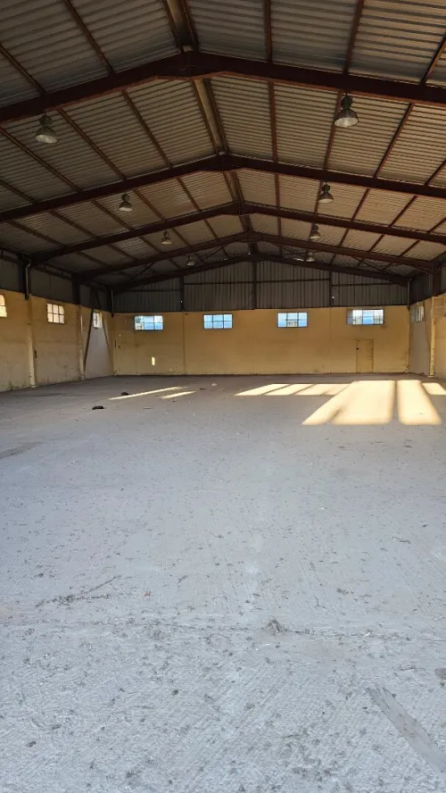 Vente Hangar - Usine Blida Ouled el alleug