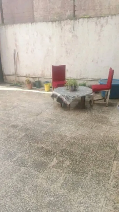 Vente Terrain Blida Bougara 14