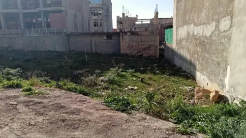 Vente Terrain Constantine El haria