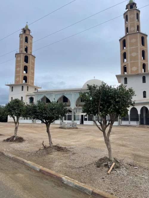 Vente Terrain Boumerdès Ouled hedadj